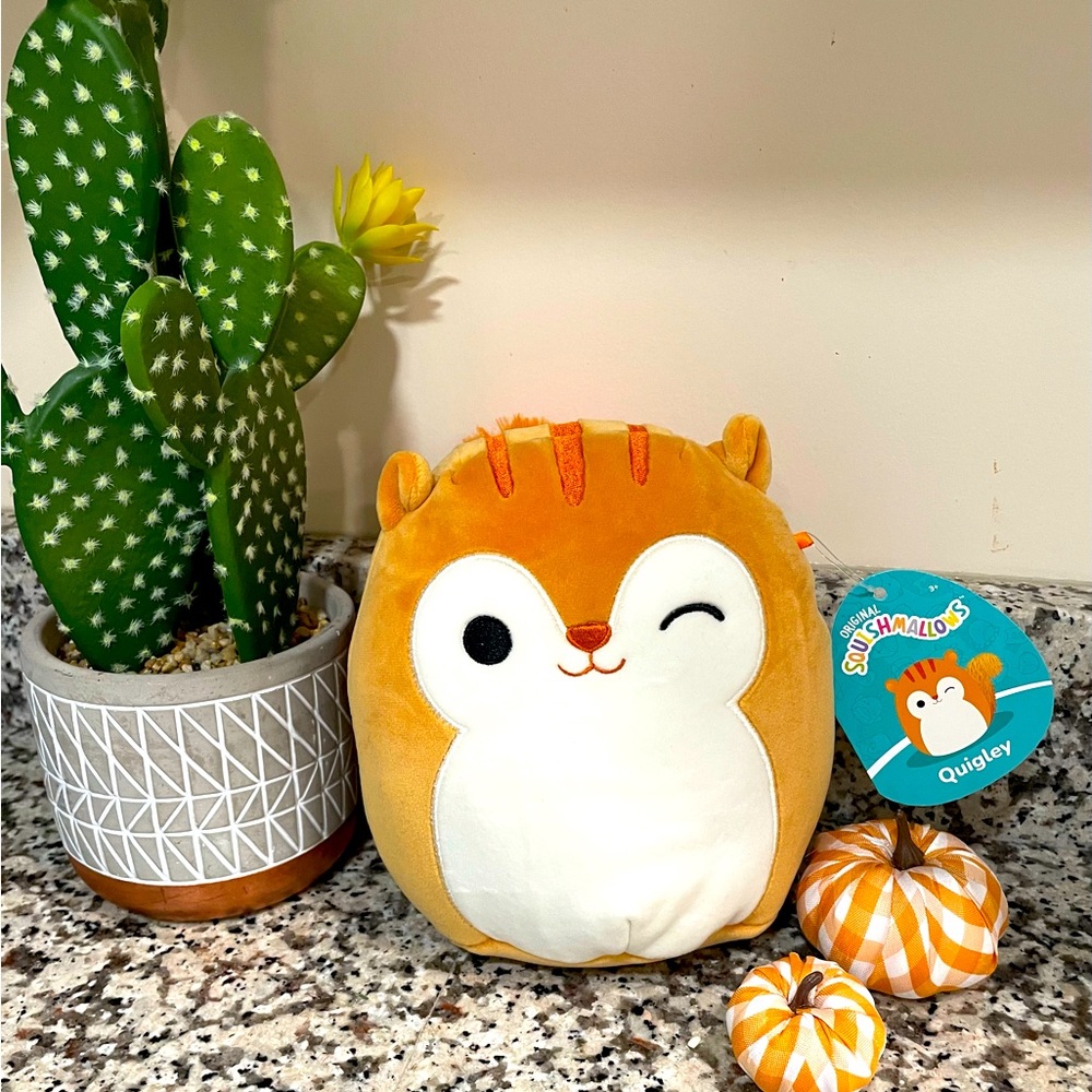 Squishmallow Squirrel 7.5” plush animal Quigley NEW with tag soft toy cute